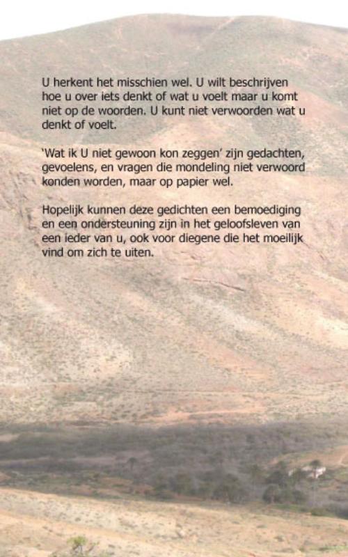 Omslag van Wat ik u niet gewoon kon zeggen