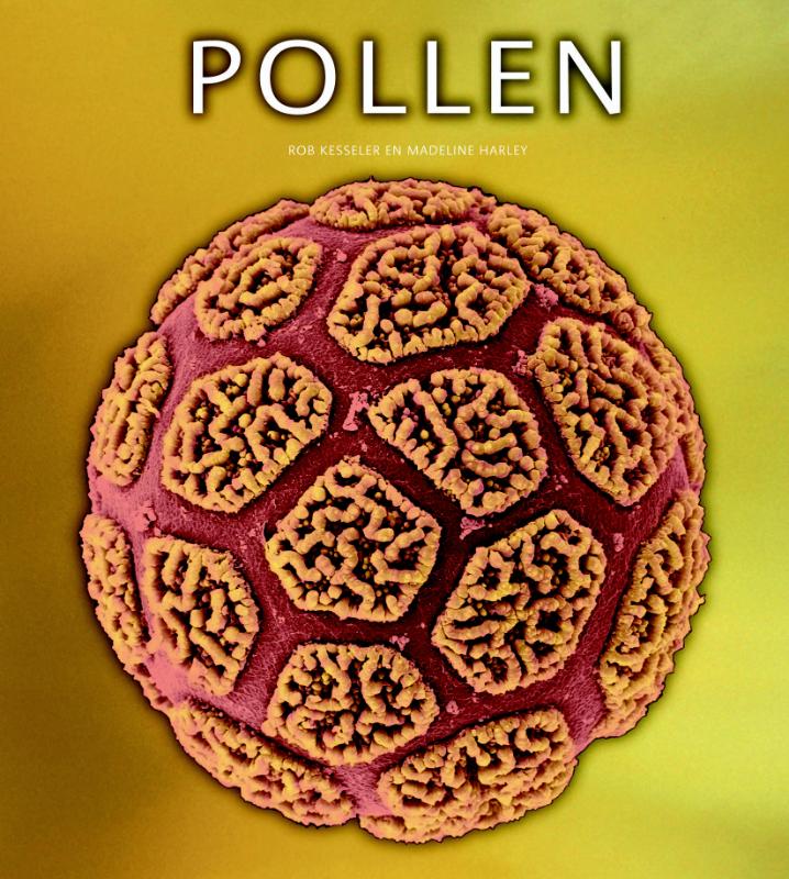 Omslag van Pollen
