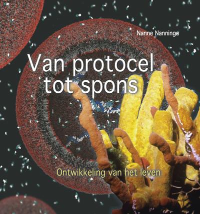 Omslag van Van protocel tot spons