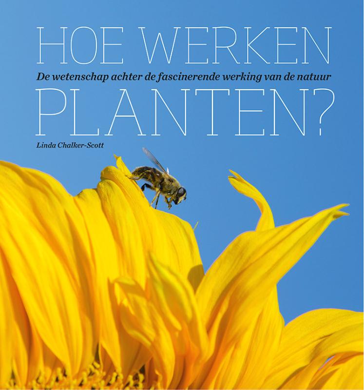 Omslag van Hoe werken planten?