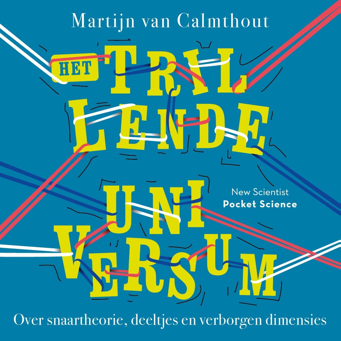 Omslag van Het trillende universum