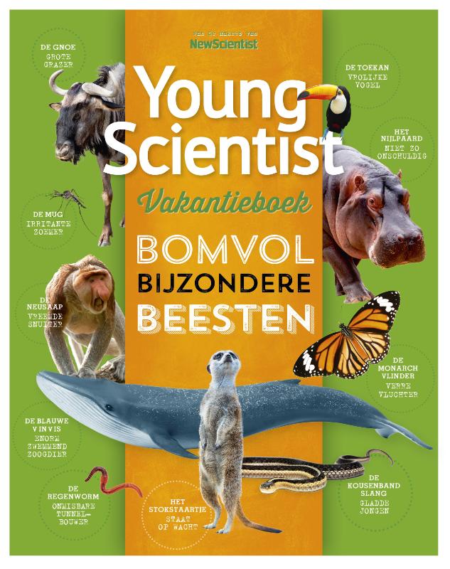 Omslag van Zomer 2020