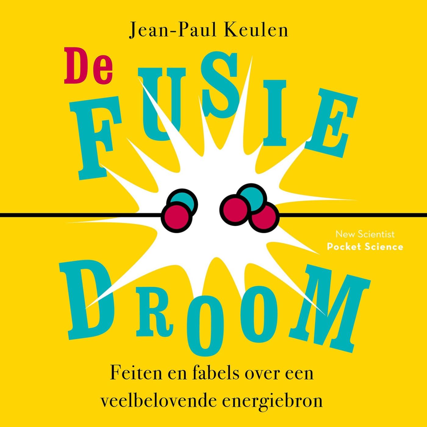 Omslag van De fusiedroom