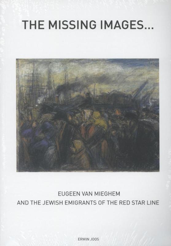 Omslag van The missing Images