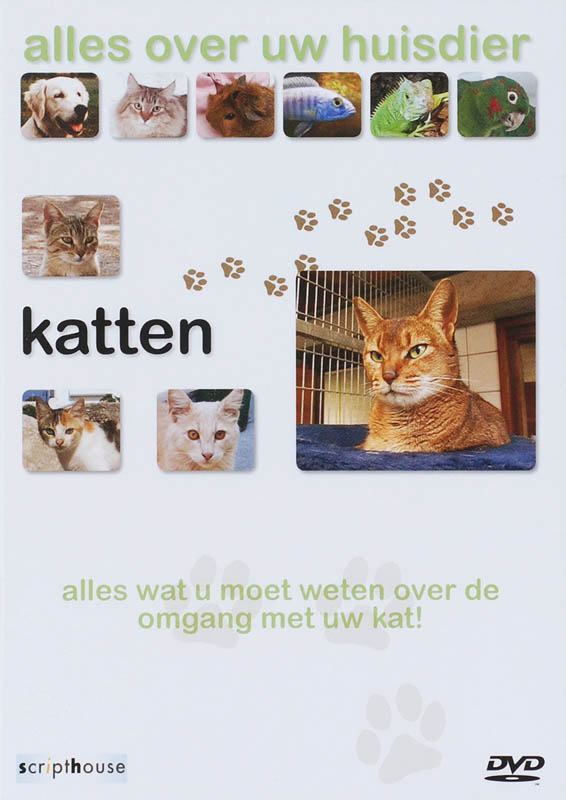 Omslag van Katten