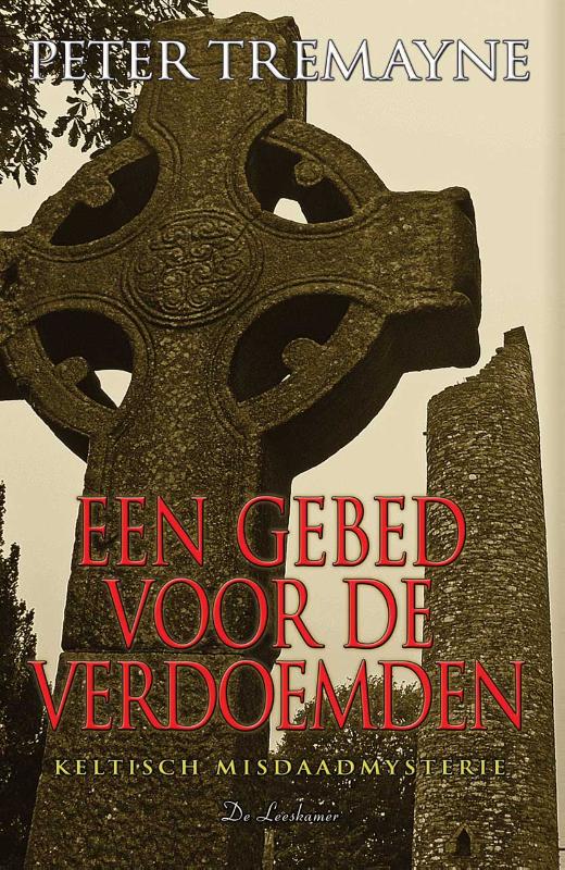 Omslag van Een gebed voor de verdoemden