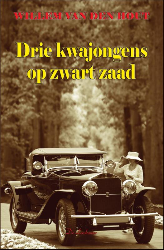 Omslag van Drie kwajongens op zwart zaad