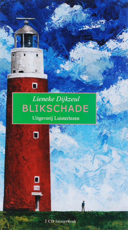 Omslag van Blikschade