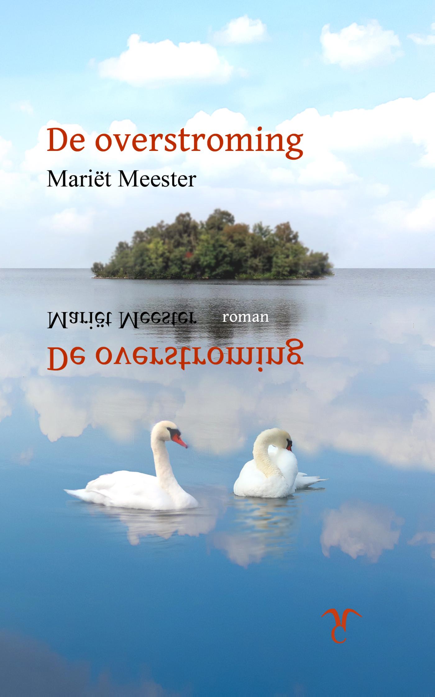 Omslag van De overstroming