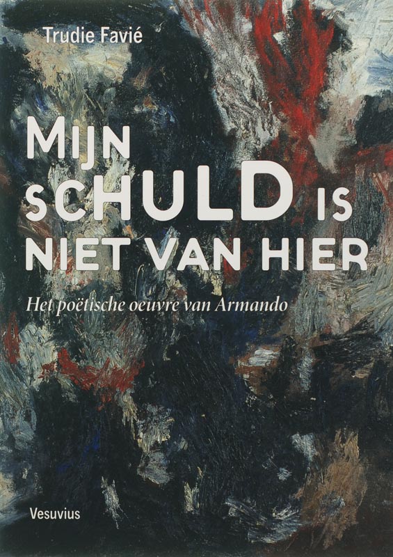 Omslag van Mijn schuld is niet van hier