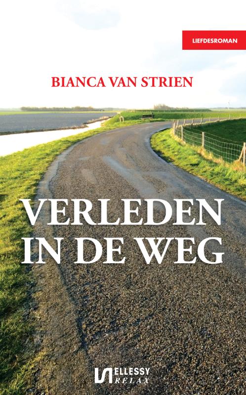 Omslag van Verleden in de weg
