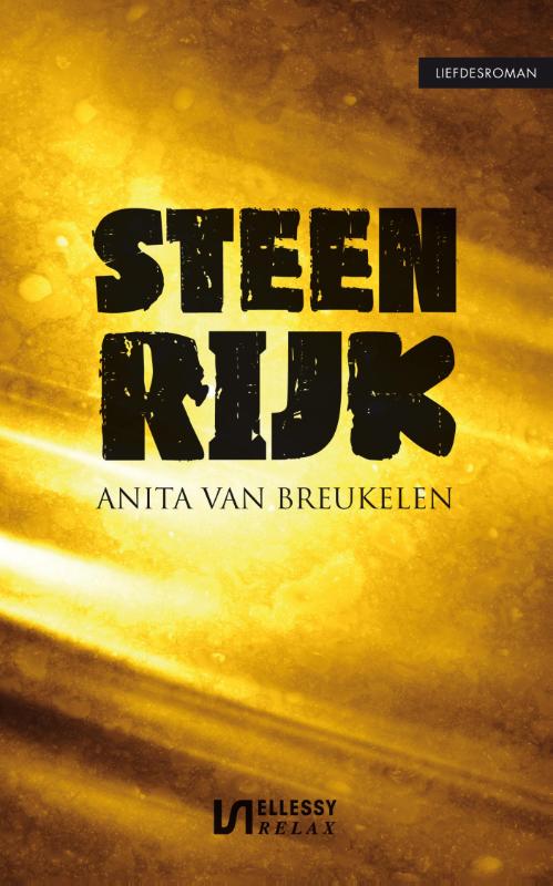 Omslag van Steenrijk