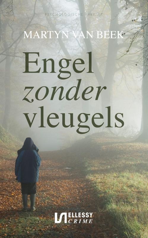 Omslag van Engel zonder vleugels