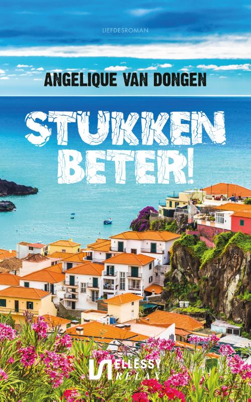 Omslag van Stukken beter!
