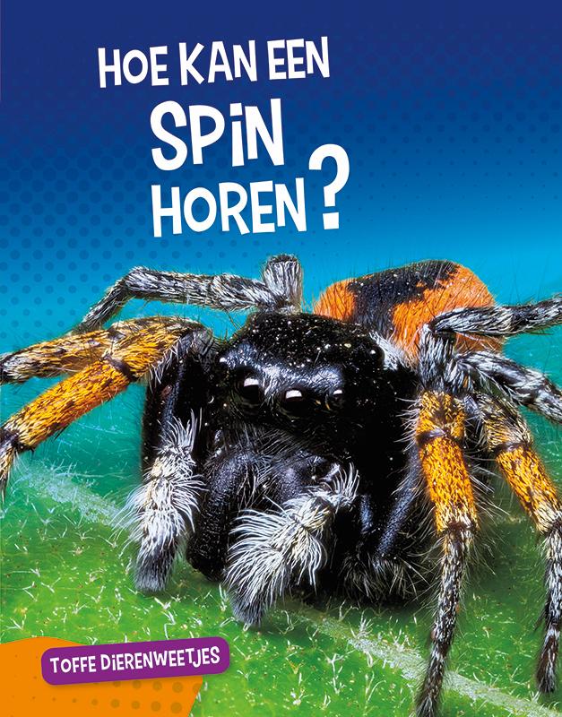 Omslag van Hoe kan een spin horen?