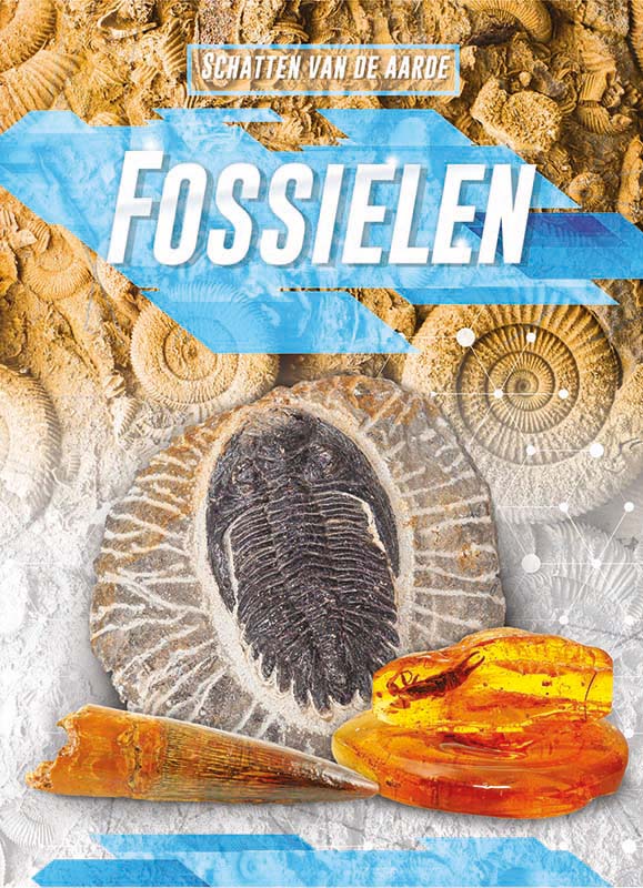 Omslag van Fossielen, Schatten van de aarde