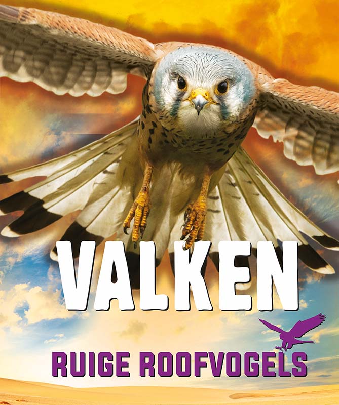Omslag van Valken