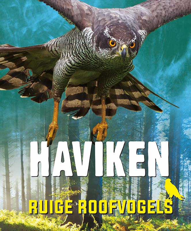 Omslag van Haviken