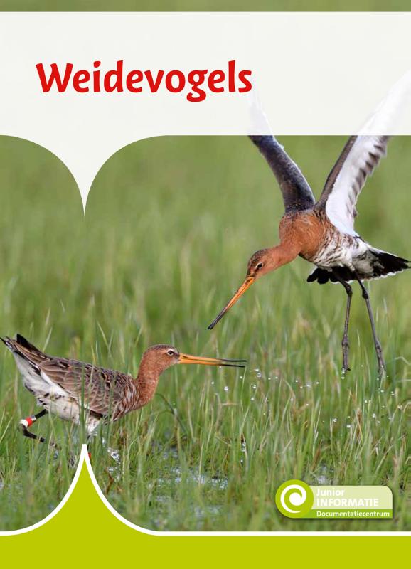 Omslag van Weidevogels