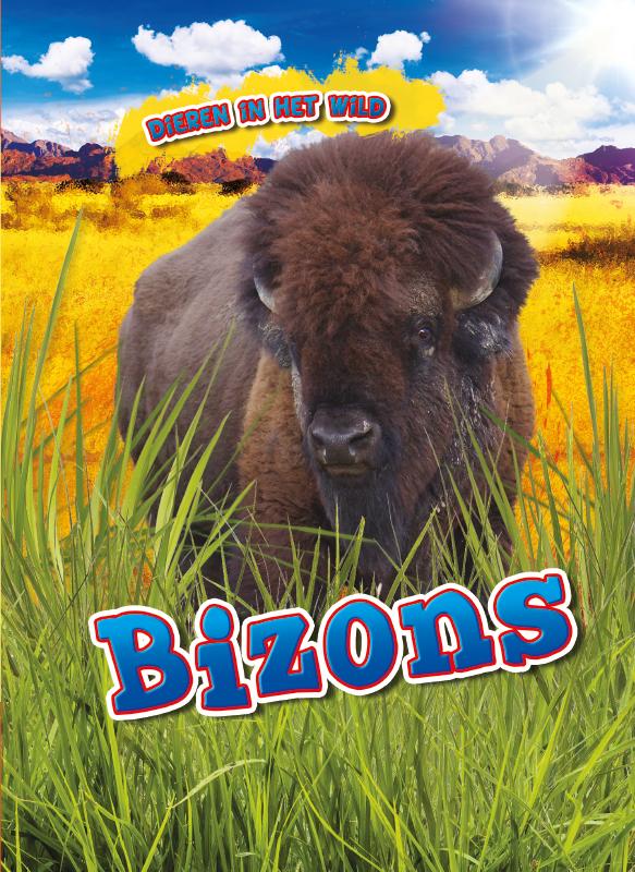 Omslag van Bizons