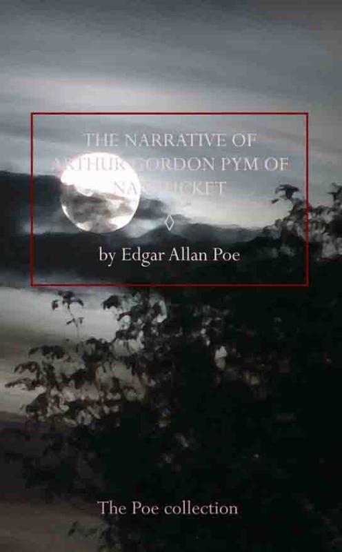 Omslag van The narrative of ARthur Gordon pym of Nantucket