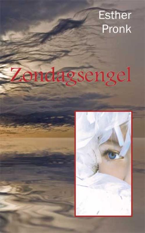 Omslag van Zondagsengel