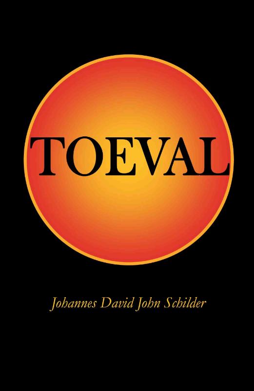 Omslag van Toeval