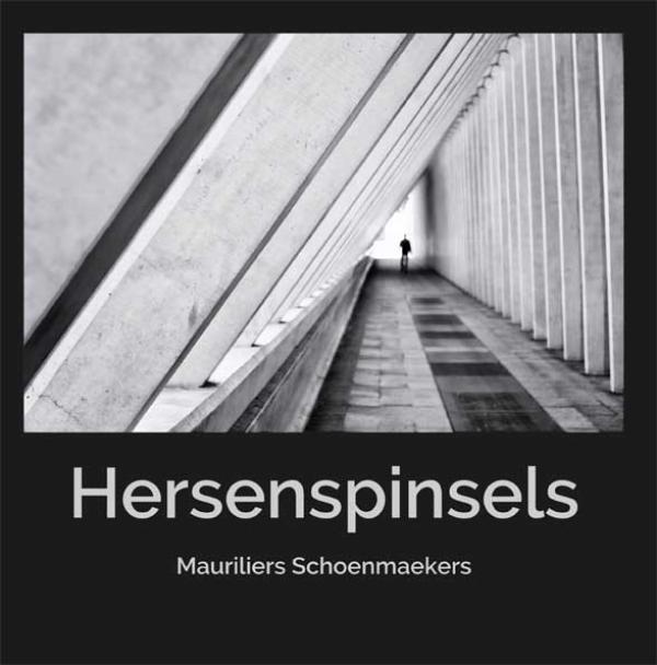 Omslag van Hersenspinsels