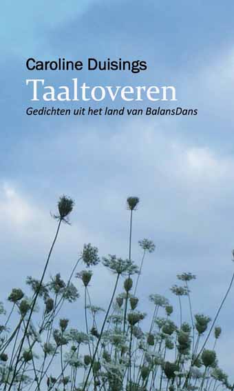 Omslag van Taaltoveren