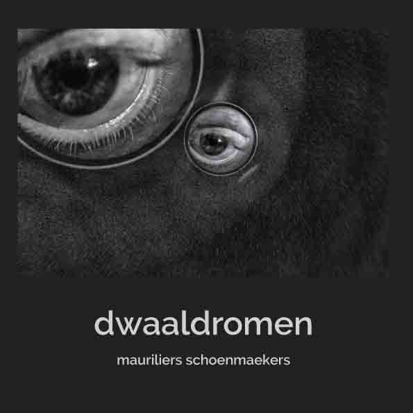 Omslag van Dwaaldromen