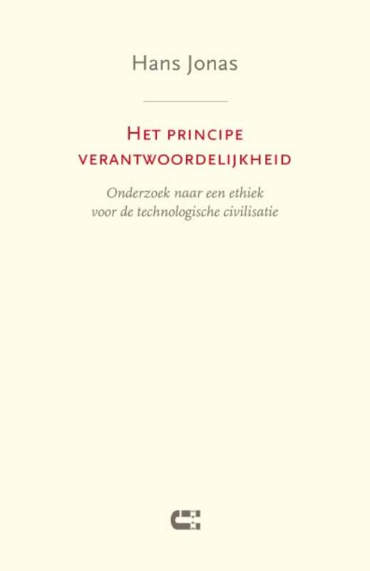 Omslag van Het principe verantwoordelijkheid