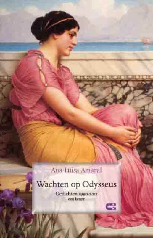 Omslag van Wachten op Odysseus