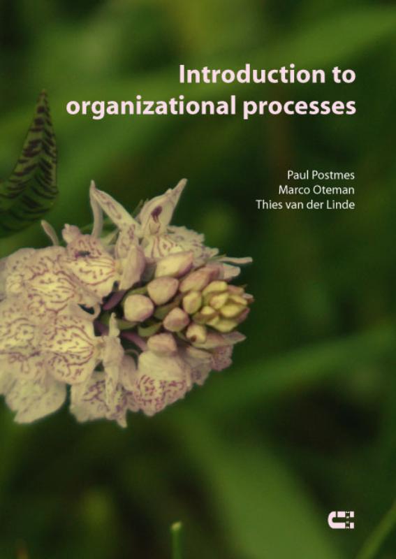 Omslag van Introduction to organizational processes