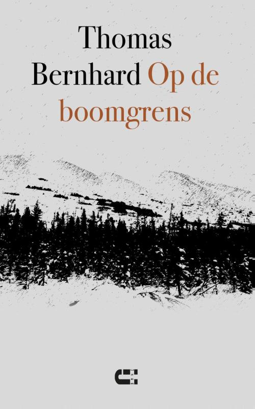 Omslag van Op de boomgrens