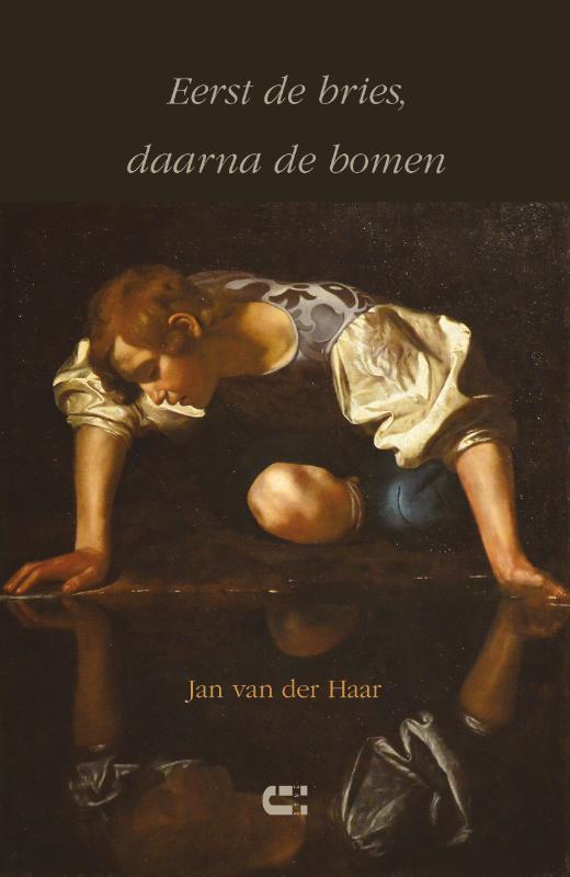 Omslag van Eerst de bries, daarna de bomen