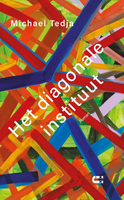 Omslag van Het diagonale instituut