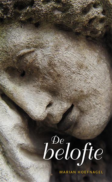Omslag van De belofte