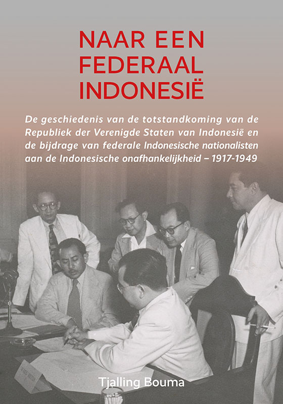Omslag van Naar een federaal Indonesië