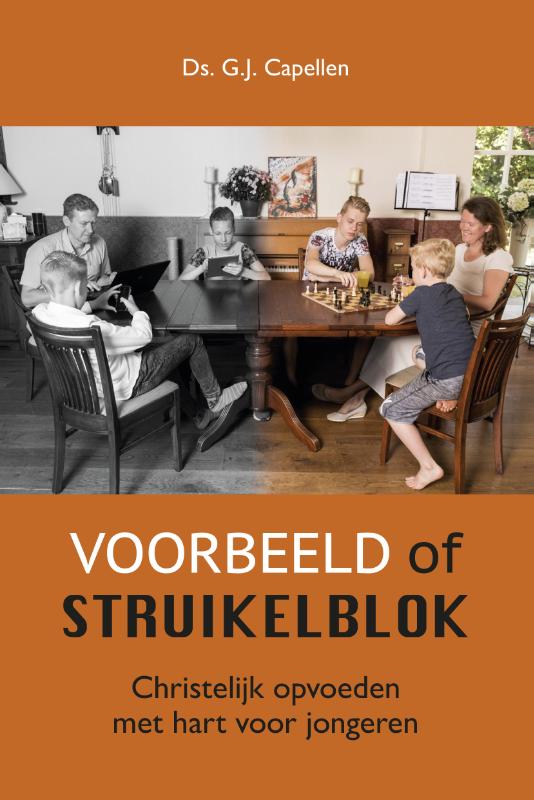 Omslag van Voorbeeld of struikelblok