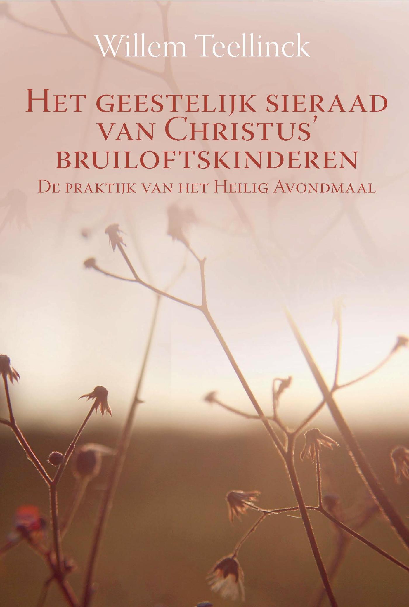 Omslag van Het geestelijk sieraad van Christus' bruiloftskinderen