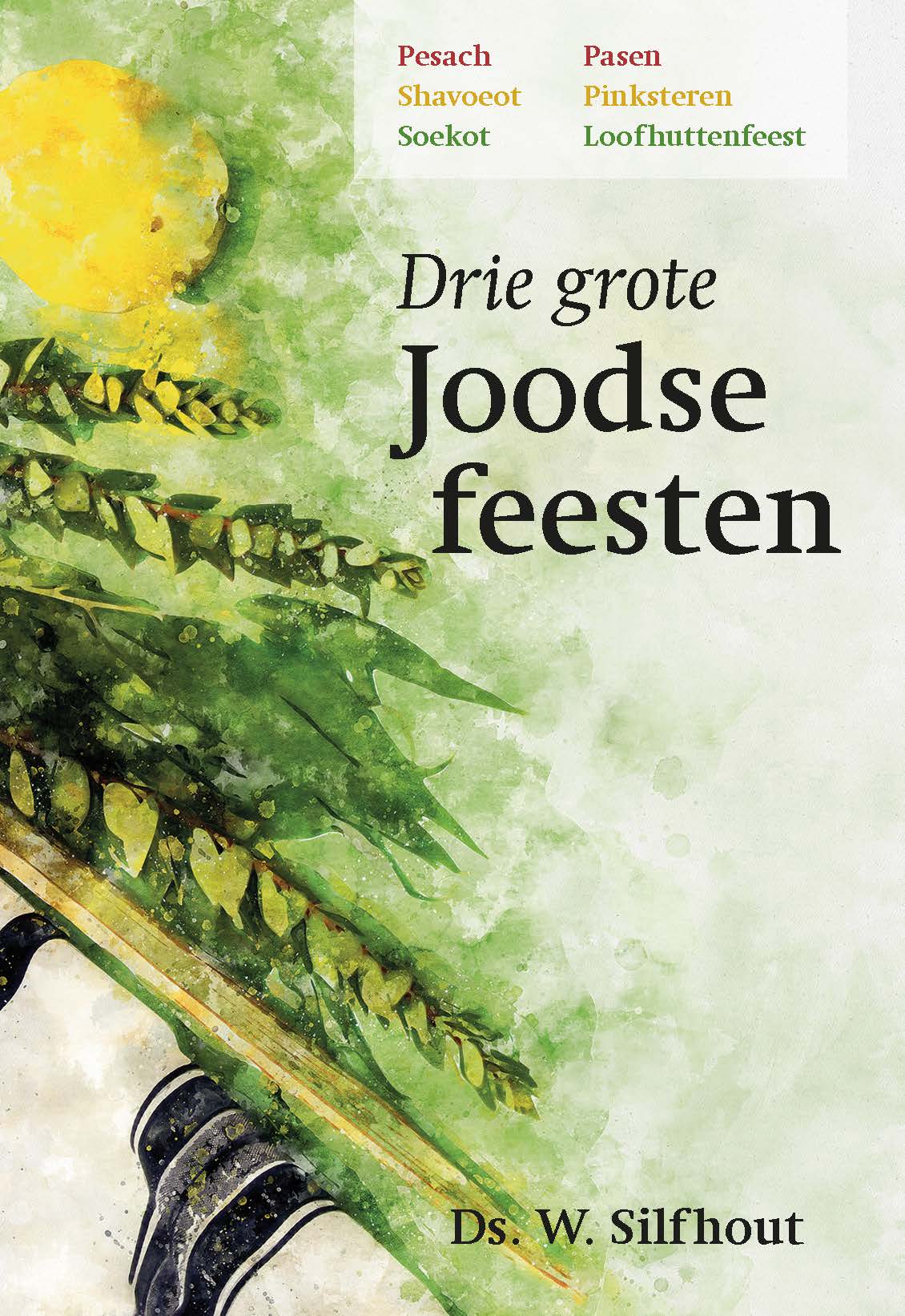 Omslag van Drie grote Joodse feesten