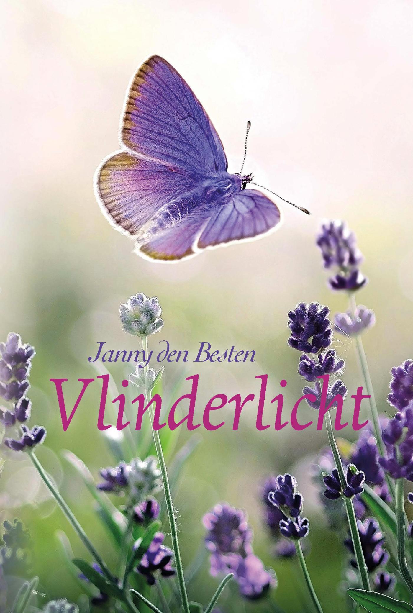 Omslag van Vlinderlicht