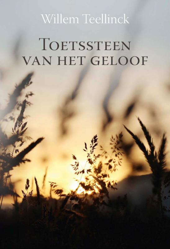 Omslag van Toetssteen van het geloof