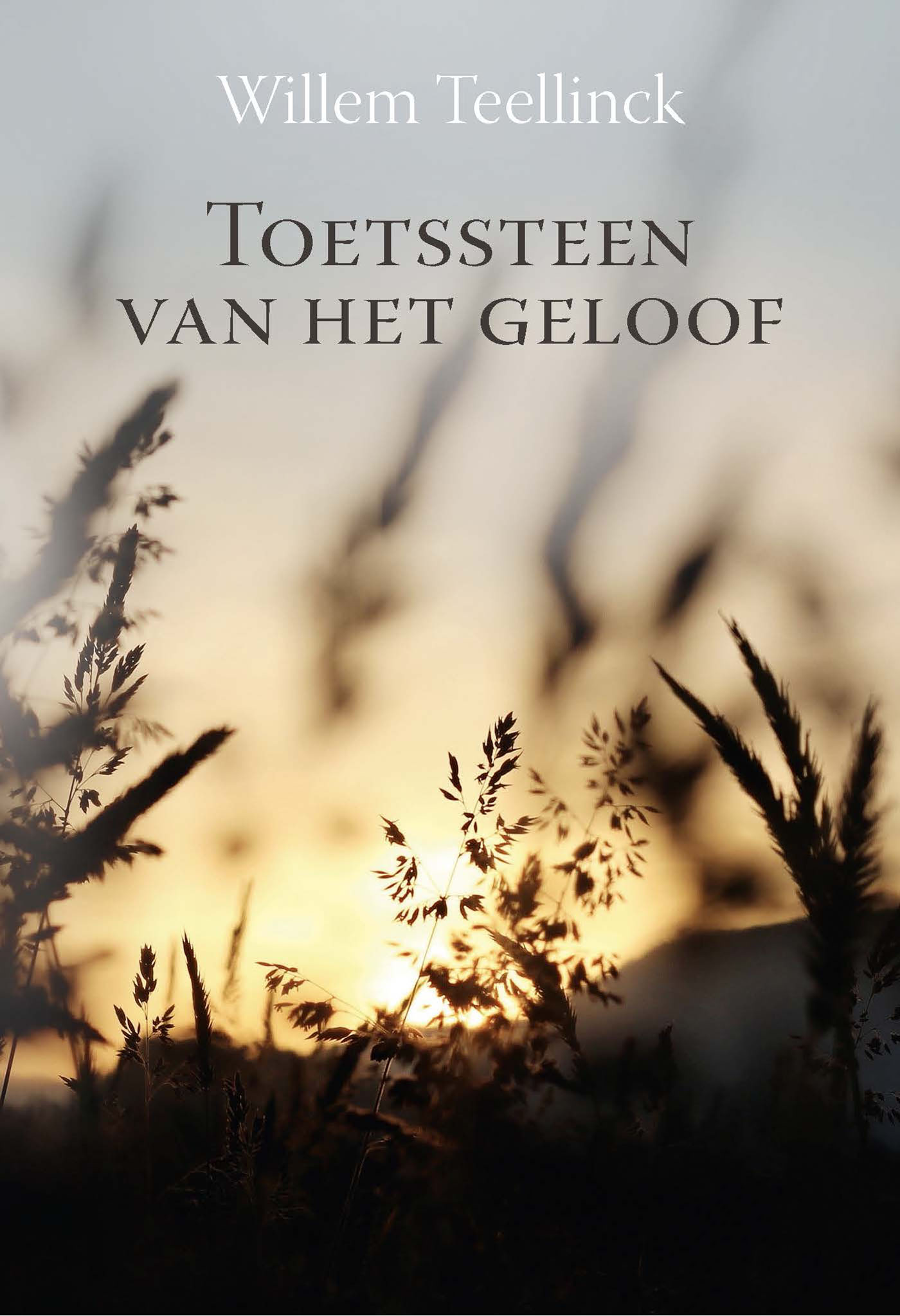 Omslag van Toetssteen van het geloof