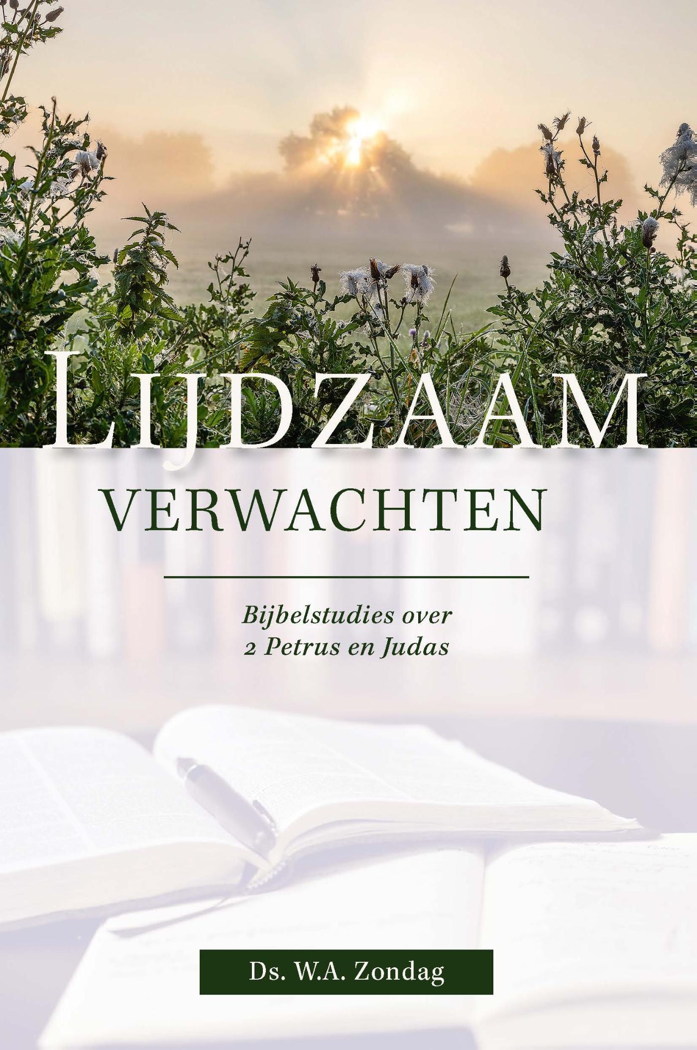 Omslag van Lijdzaam verwachten