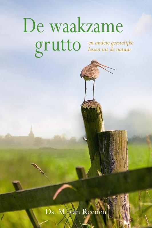 Omslag van De waakzame grutto