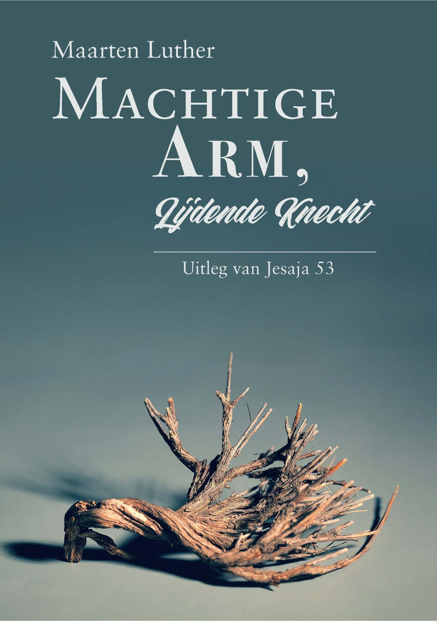 Omslag van Machtige Arm, lijdende Knecht