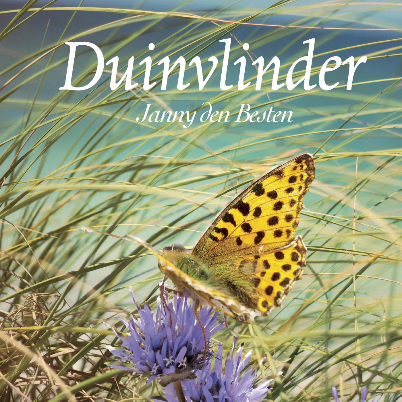 Omslag van Duinvlinder