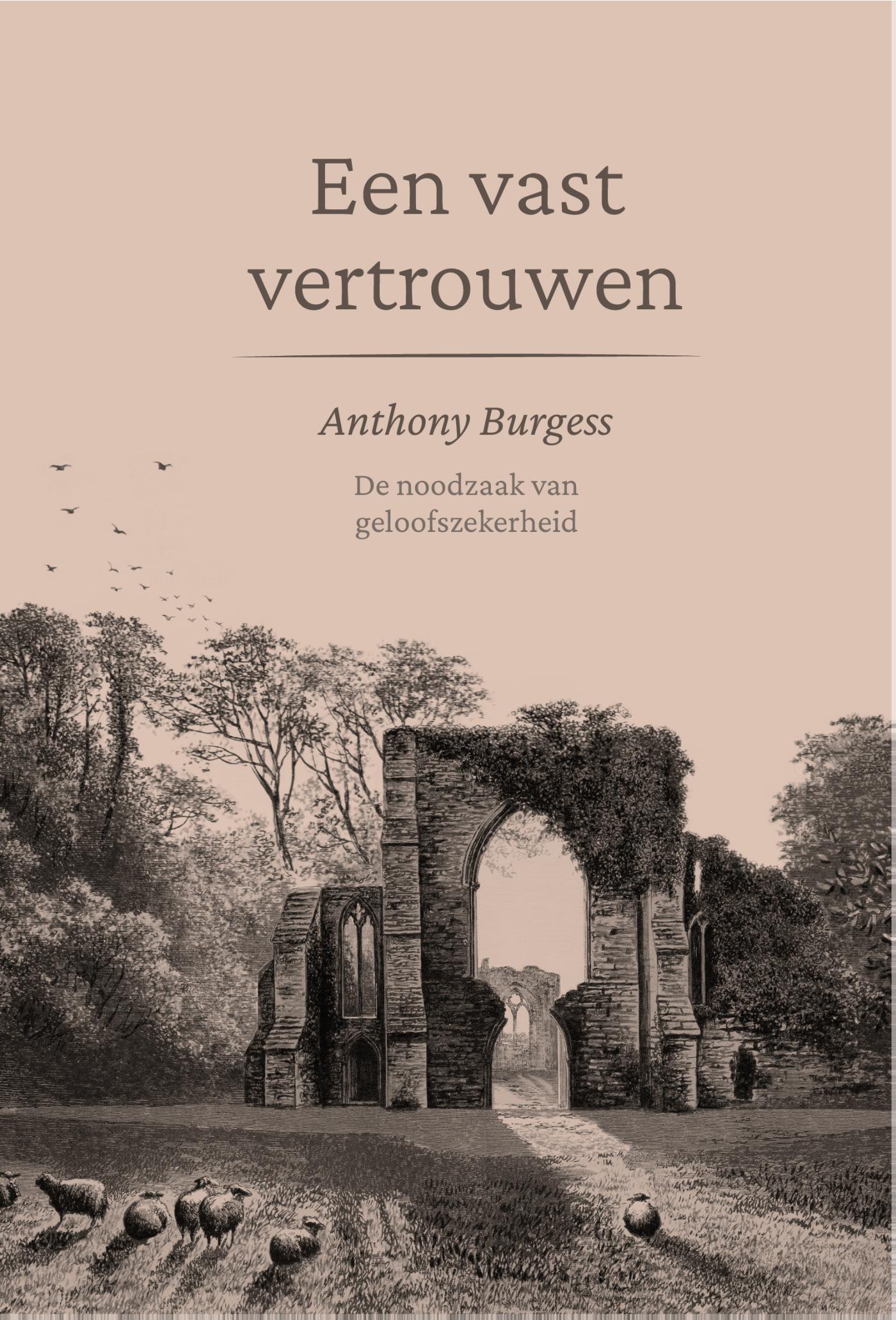 Omslag van Een vast vertrouwen