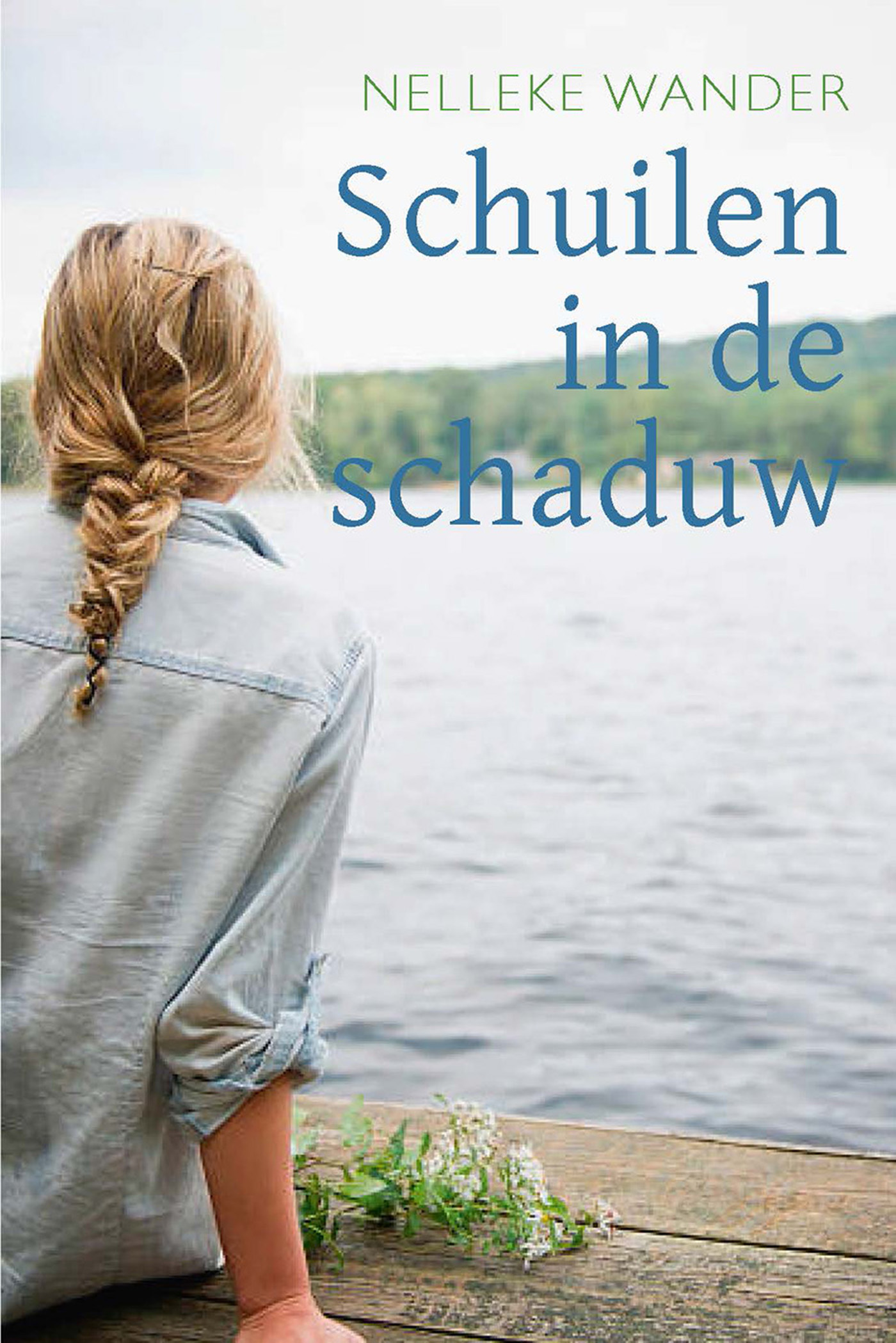 Omslag van Schuilen in de schaduw
